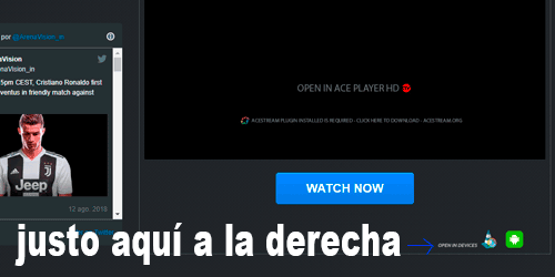 arenavision.in acestream